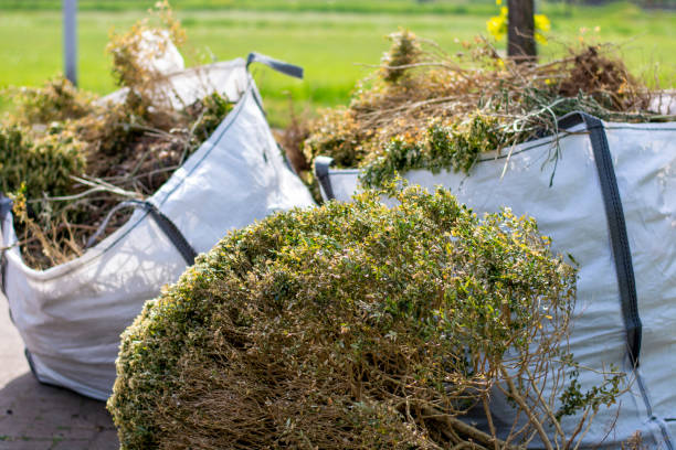 Best Local Junk Hauling  in Catonsville, MD